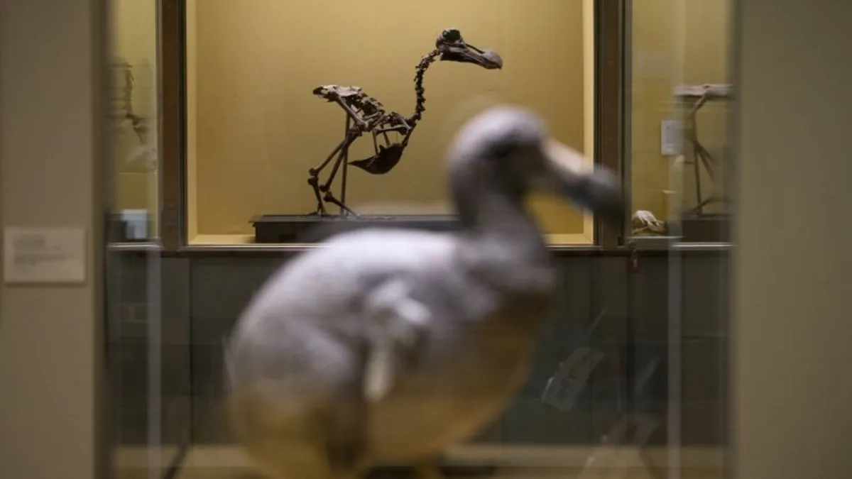 Revolutionizing Conservation: The Quest to Bring Back the Dodo