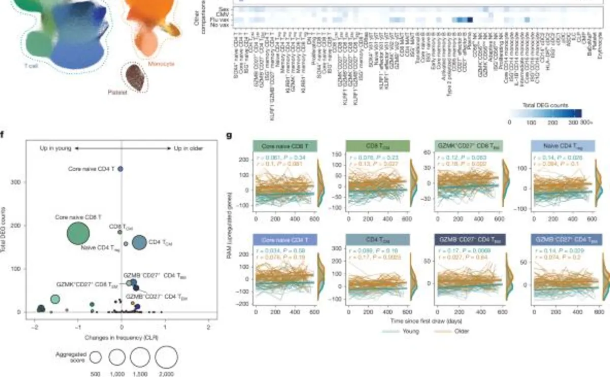 Revolutionizing Immunology: Insights from the Sound Life Study