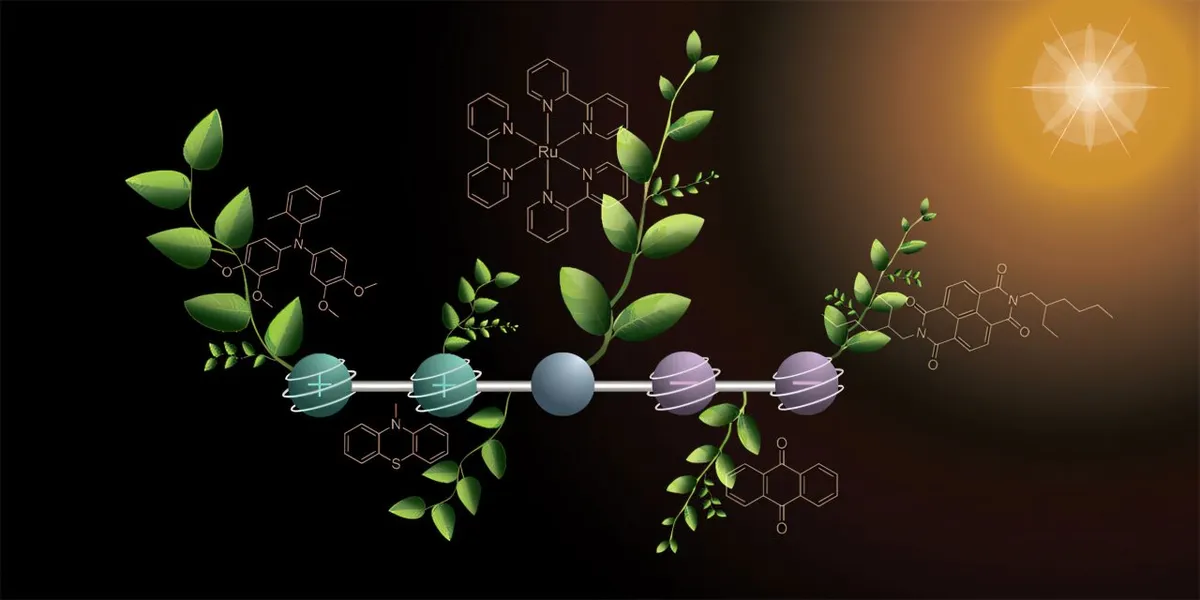 Revolutionizing Renewable Energy: New Molecule Mimics Plant Photosynthesis