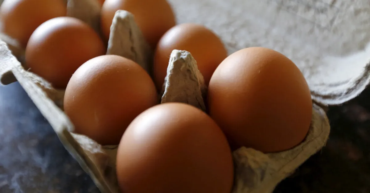 Salmonella Outbreak: 1.7 Million Eggs Recalled Across Seven States
