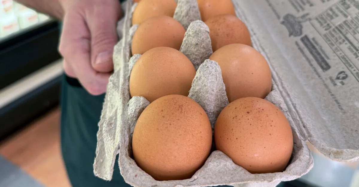 Salmonella Outbreak Linked to Eggs: 95 Infected Across 14 States