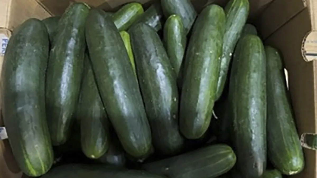 Salmonella Outbreak Tied to Recalled Cucumbers Sickens Nearly 50 Across 18 States