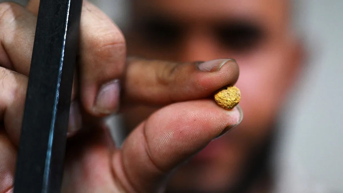 Scientists at Large Hadron Collider Transform Lead Into Gold: A Modern Alchemical Breakthrough