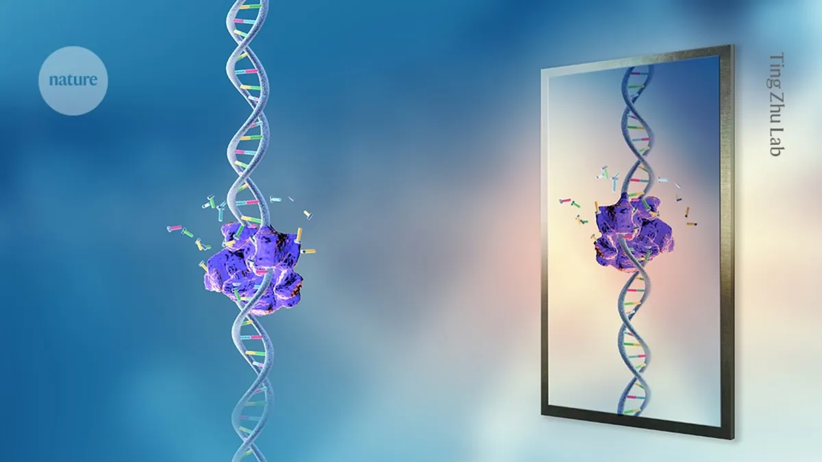 Scientists Debate the Future of 'Mirror Life' Research: Risk vs Reward