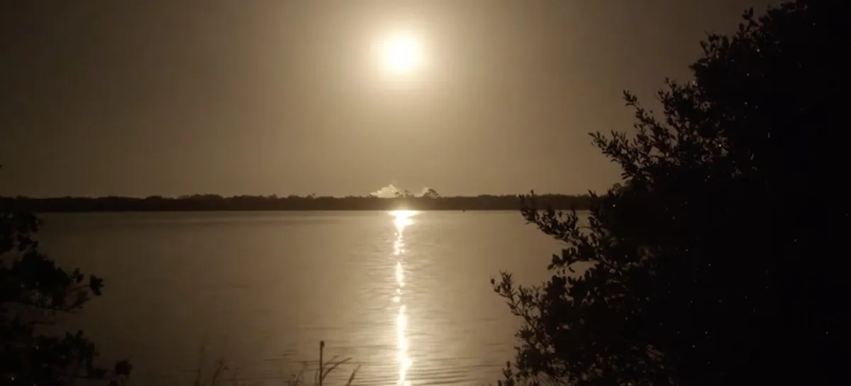 SpaceX Achieves Milestone with 900th Starlink Satellite Launch