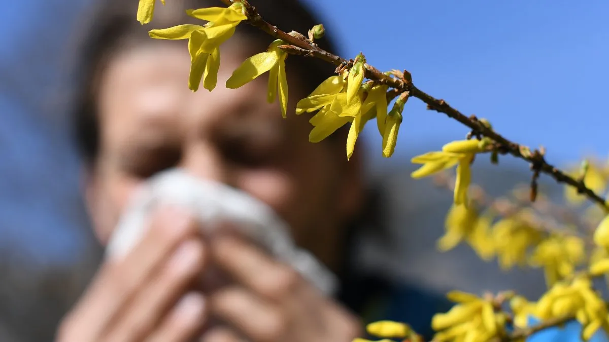 Spring Allergy Alert: Combat the Rising Pollen Levels in Illinois