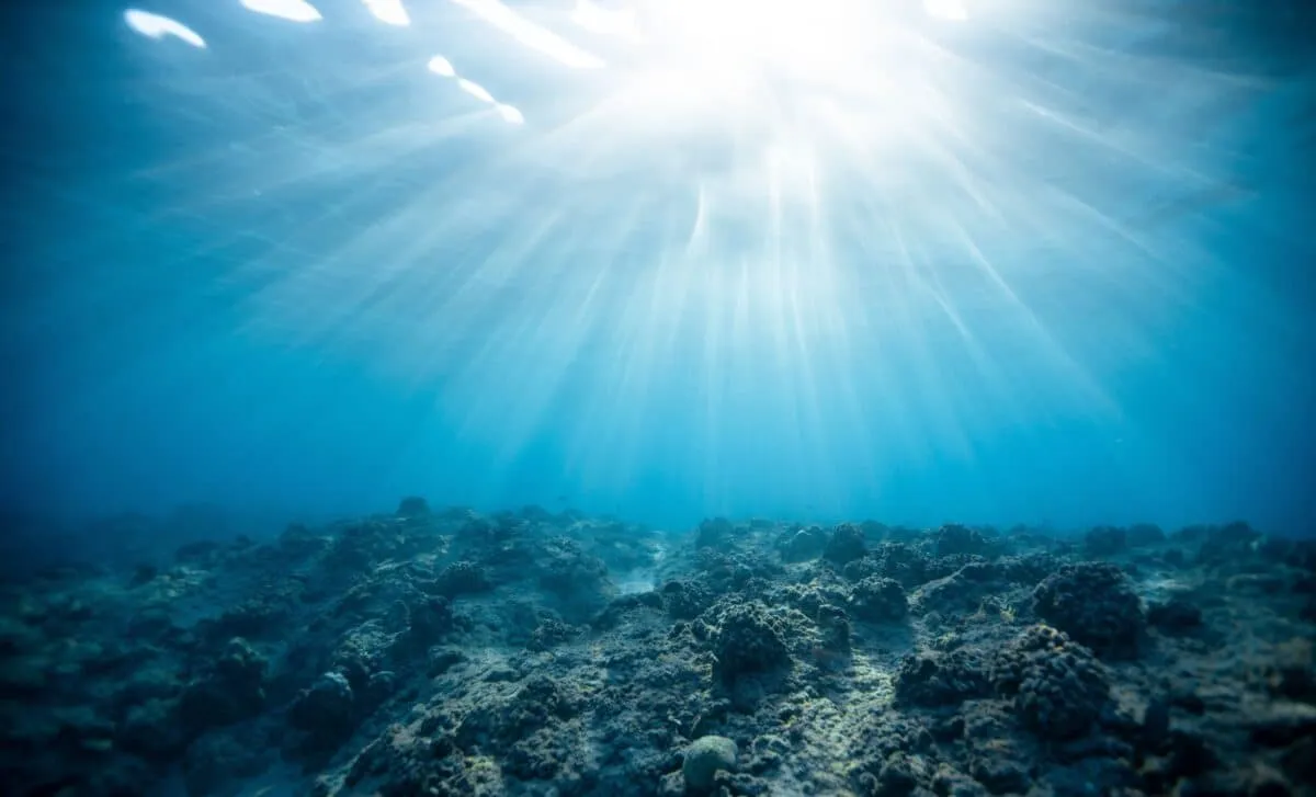 Study Reveals Hidden Dangers of Marine Carbon Dioxide Removal Techniques