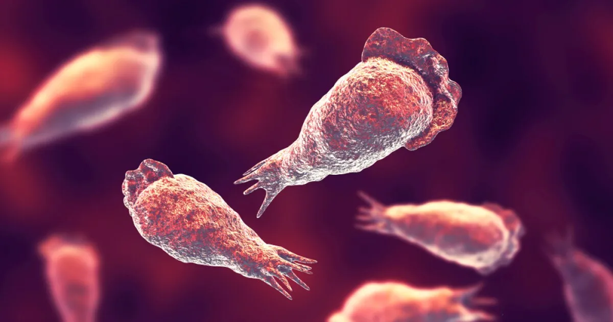 Texas Woman Dies from Rare Brain-Eating Amoeba After Sinus Rinse