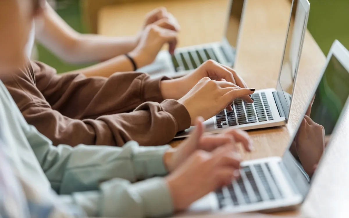 The Collapse of the Coding Dream: Fresh Graduates Face Harsh Job Market