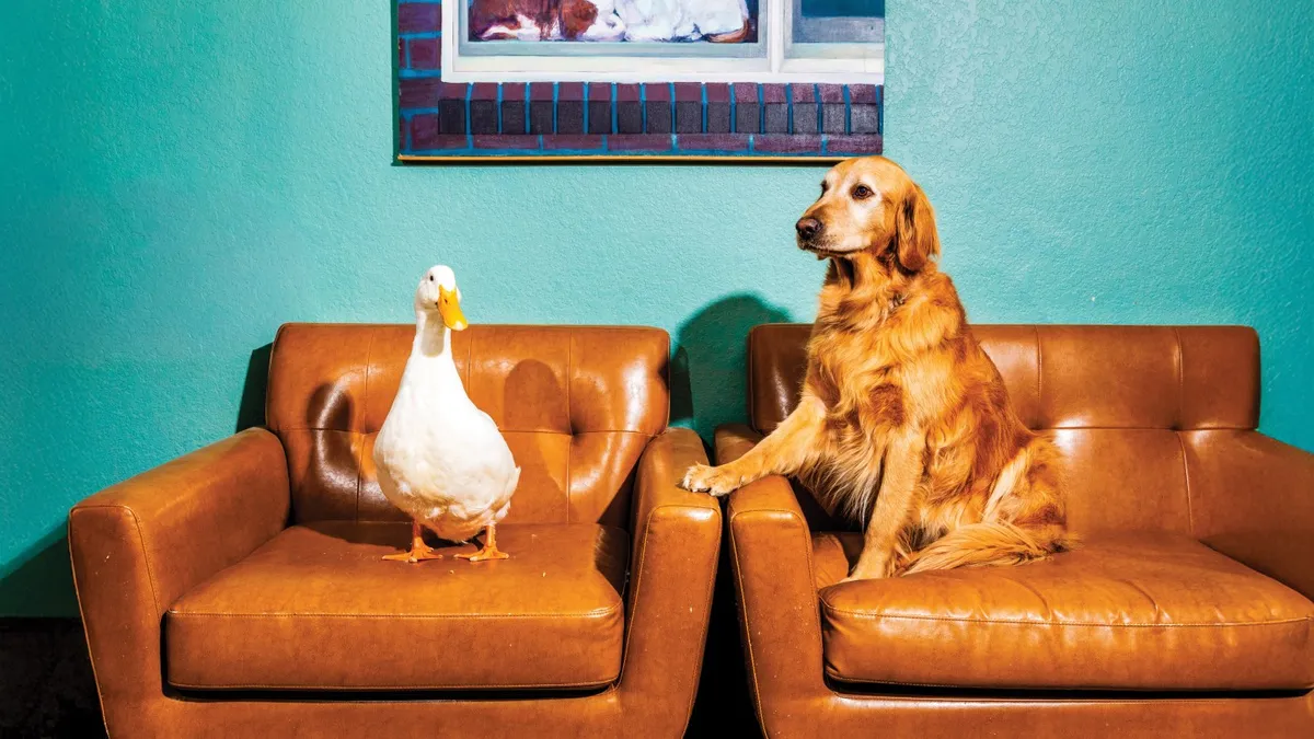 The Decline of Animal Actors: How AI is Reshaping Hollywood's Four-Legged Stars