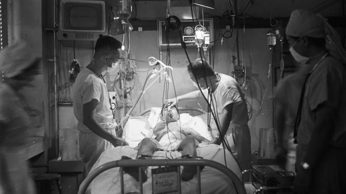 The Future of Organ Transplants: Can Animal Organs Save Lives?