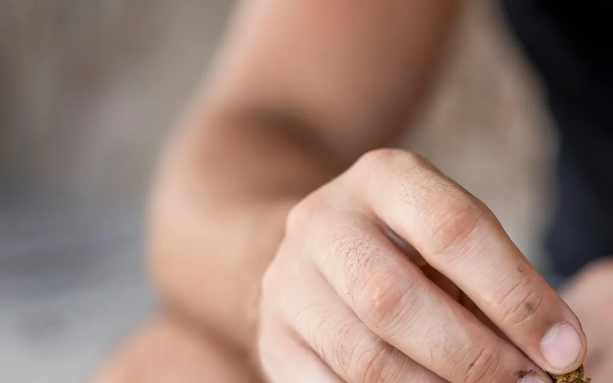 The Hidden Dangers of Cannabis: New Study Links Use to Serious Heart Risks