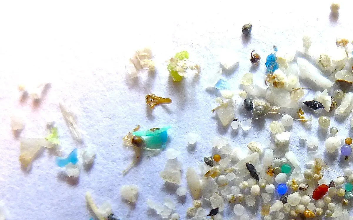 The Hidden Dangers of Nanoplastics: How Plastic Waste is Poisoning Our Bodies