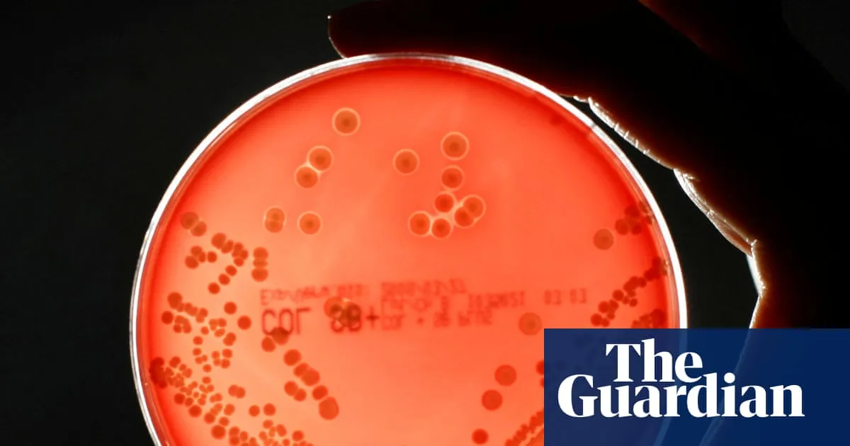 The Looming Crisis: Superbugs Could Cost the Global Economy $2 Trillion by 2050