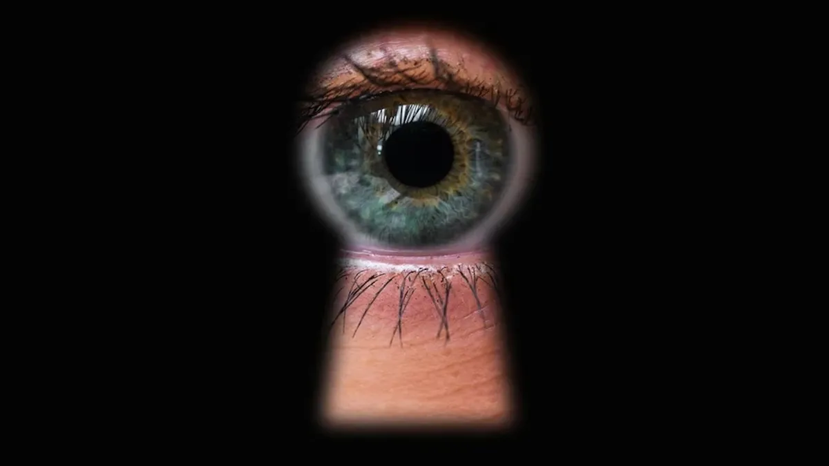 The Panopticon Effect: How Constant Surveillance Shapes Our Minds