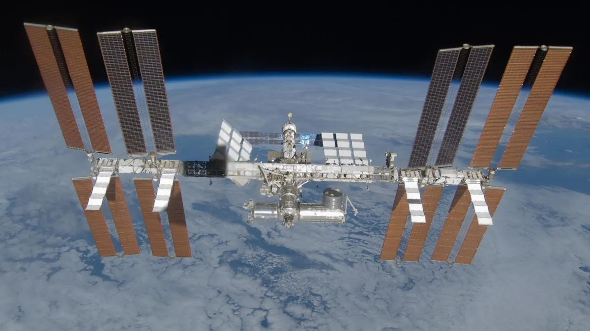 The Shocking Truth About Space Travel: Your Stem Cells Are Turning Into Zombies!