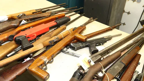 Tragic Sydney Shooting Sparks Renewed Calls for Stricter Gun Laws