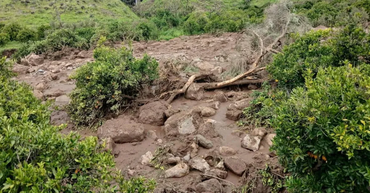 Tragedy Strikes: Landslide in Sudan's Jebel Marra Claims Over 1,000 Lives