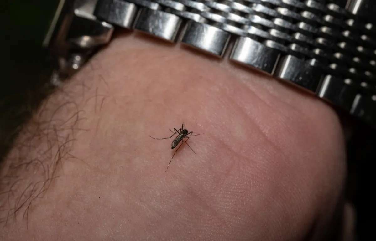 Tragic First West Nile Virus Death in Colorado This Year