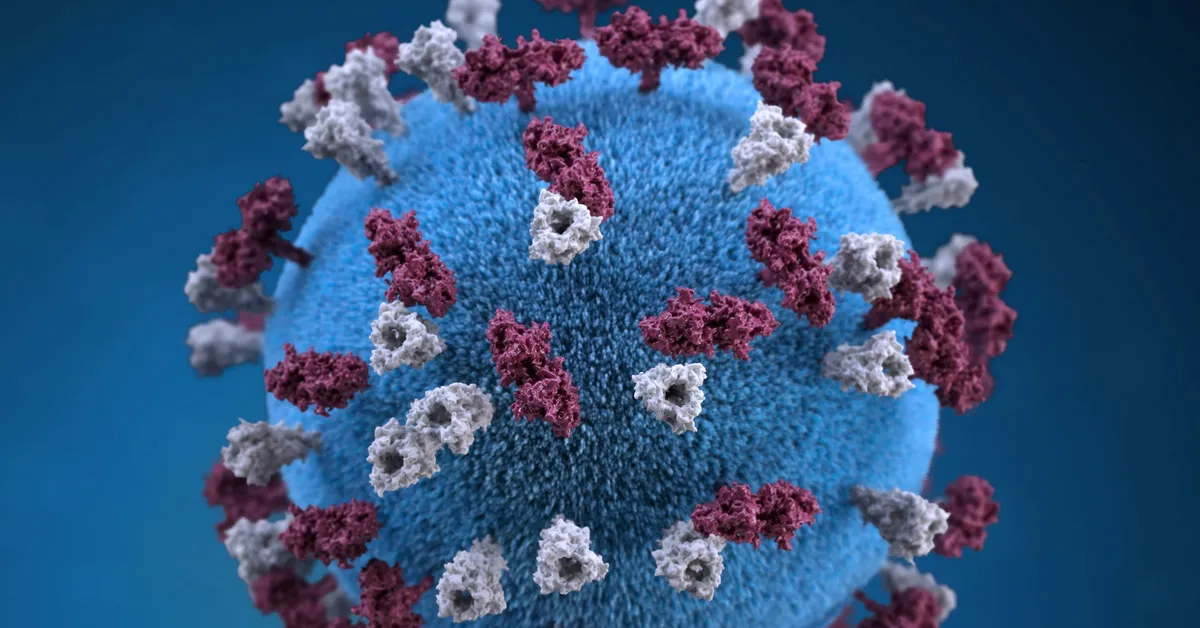 Tragic Measles Complication Claims Life of School-Aged Child in LA County