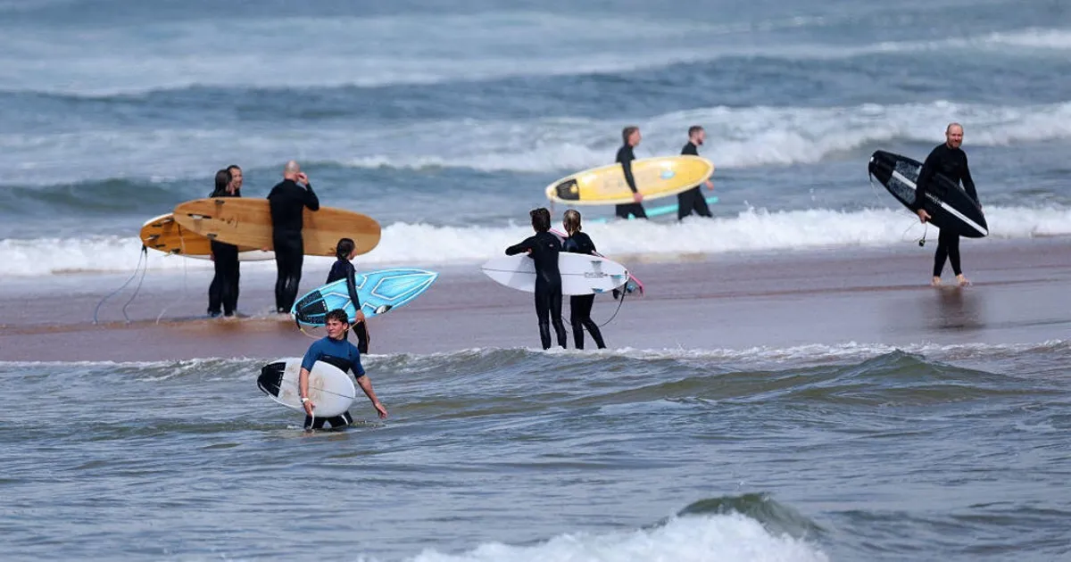 Tragic Shark Attack Claims Life of Experienced Surfer in Sydney