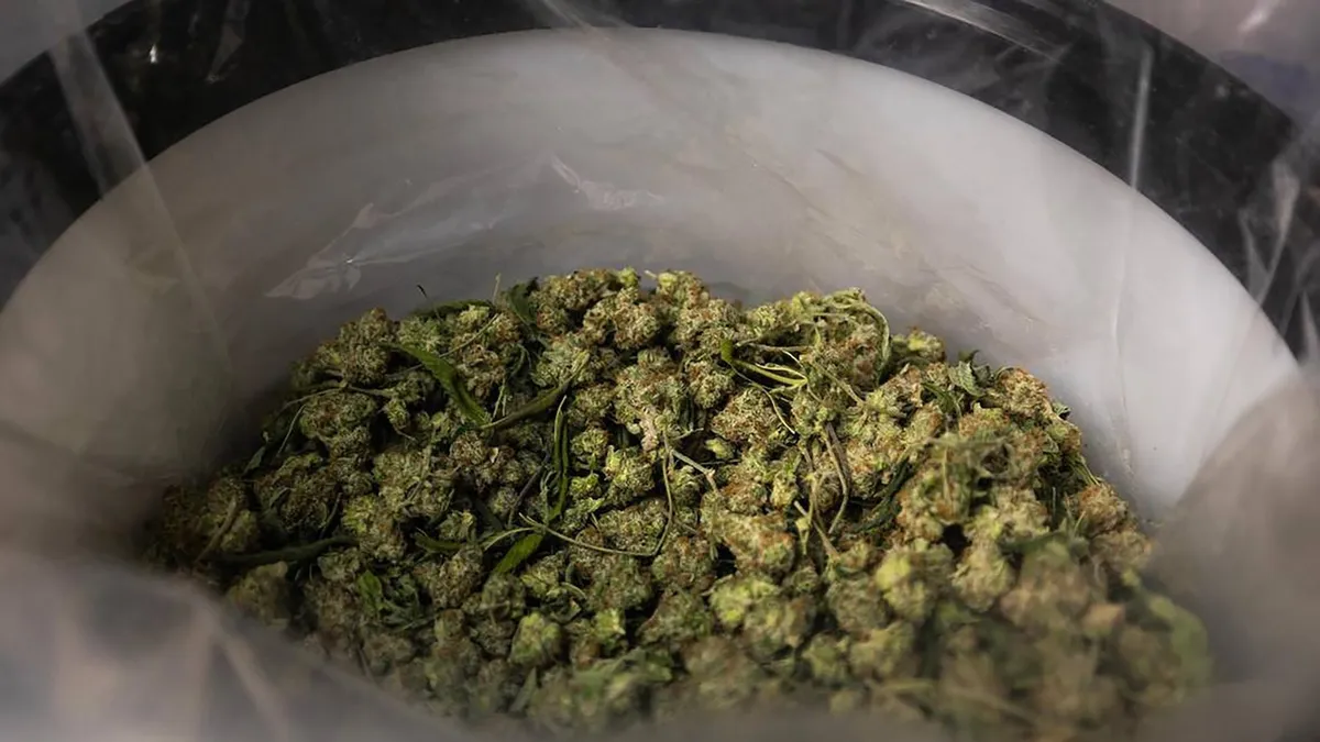 Trump Considers Major Marijuana Reclassification: What It Means