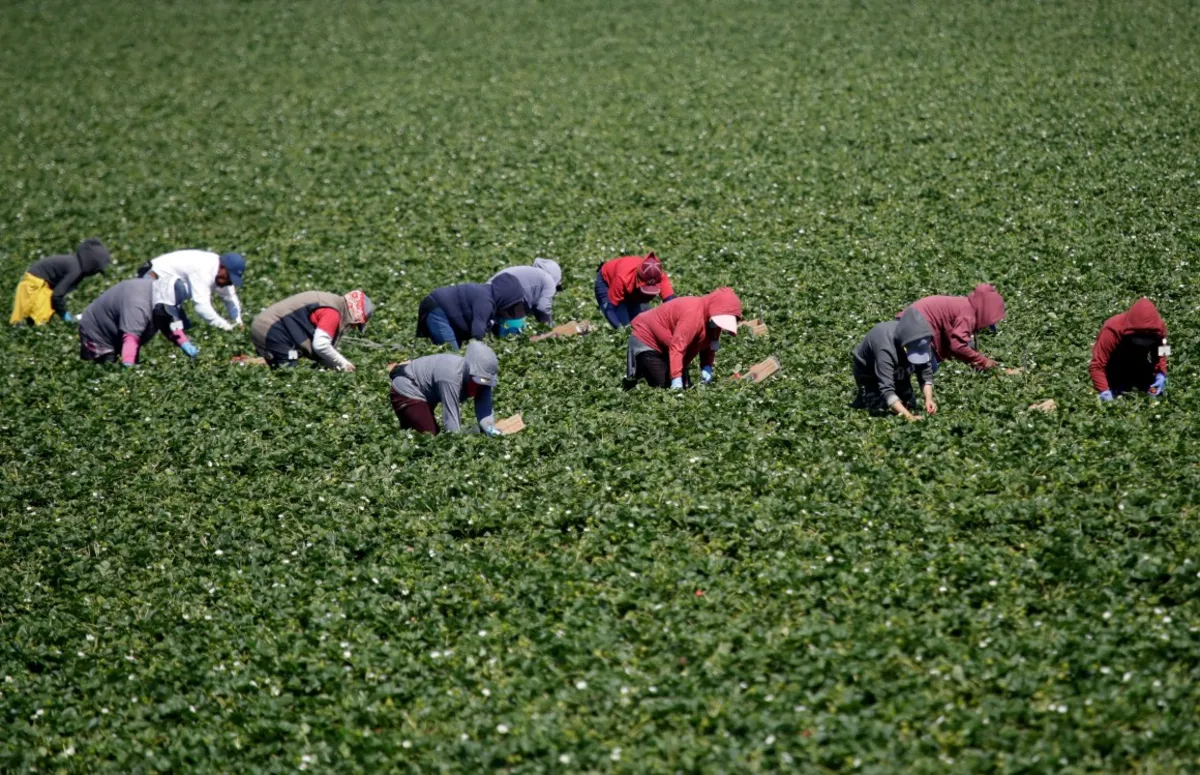 Trump Navigates GOP Divide Over Immigration and Agriculture