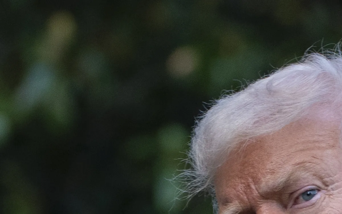 Trump's Bold Moves: Navigating the Ukraine Conflict and NATO Dynamics