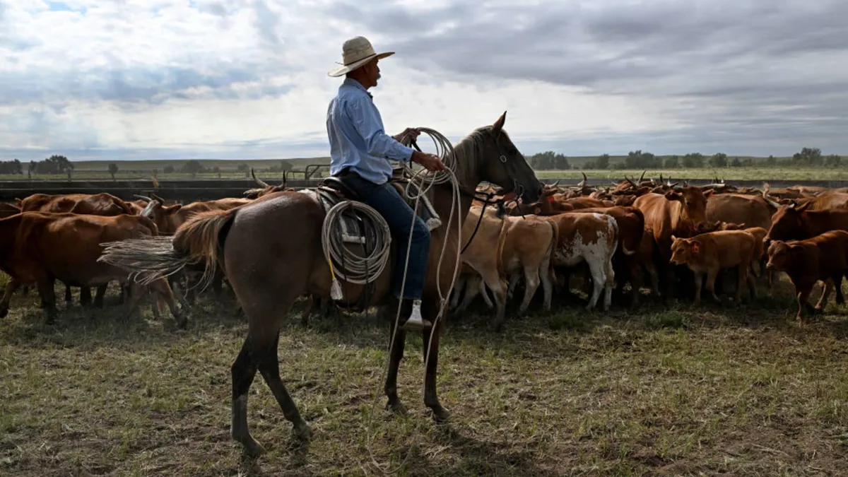Trump's Controversial Beef Tariffs: Cattle Ranchers Push Back
