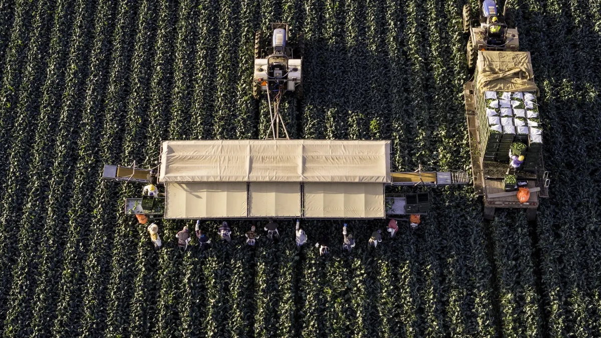 Trump's Immigration Crackdown: A Threat to America's Agricultural Workforce