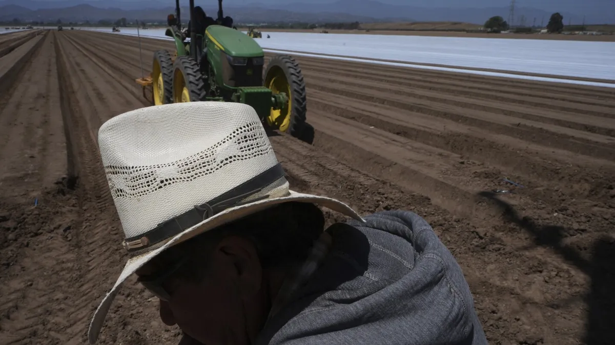 Trump's Immigration Raids Create Chaos for Farmers and Businesses