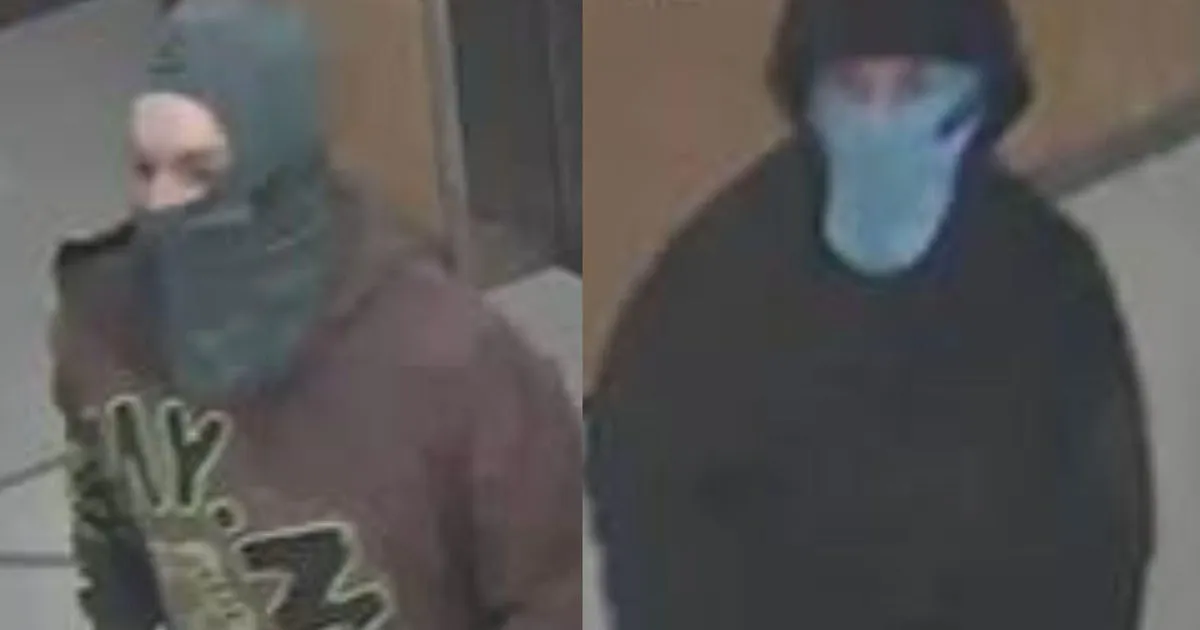 Two Young Men Face Federal Charges for Harvard Medical School Explosion