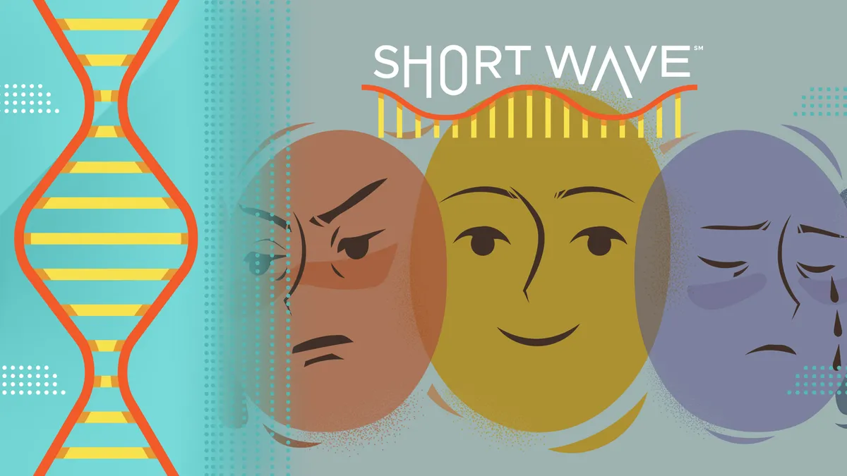 Understanding Bipolar Disorder: Insights from Expert Kay Redfield Jamison