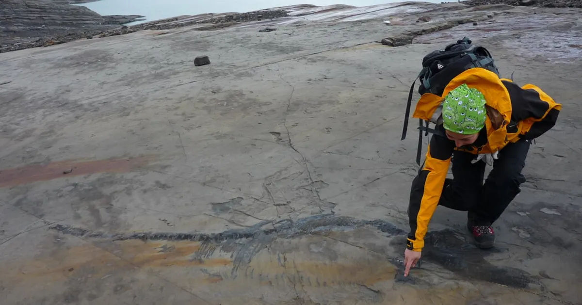 Unearthing the Mystery: How a Pregnant Ichthyosaur Met Its Fate 131 Million Years Ago