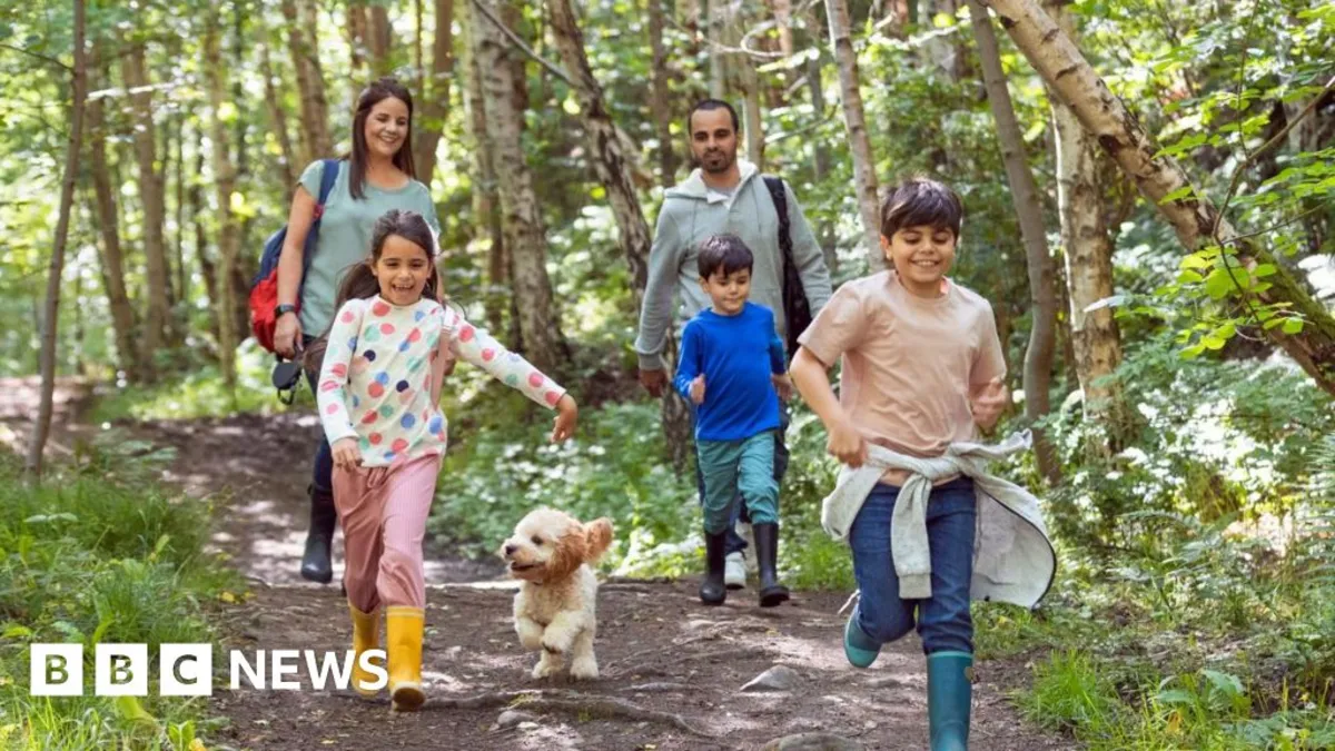 Unlock the Secrets: How Just 20 Minutes in Nature Can Transform Your Health