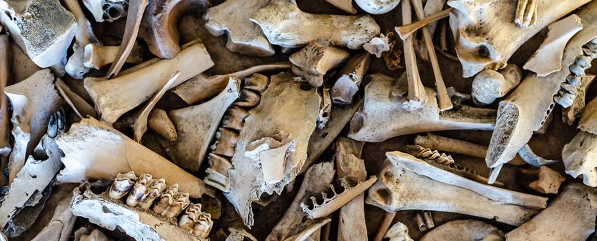 Unlocking Neanderthal Secrets: Discovery of Ancient 'Fat Factory' in Germany