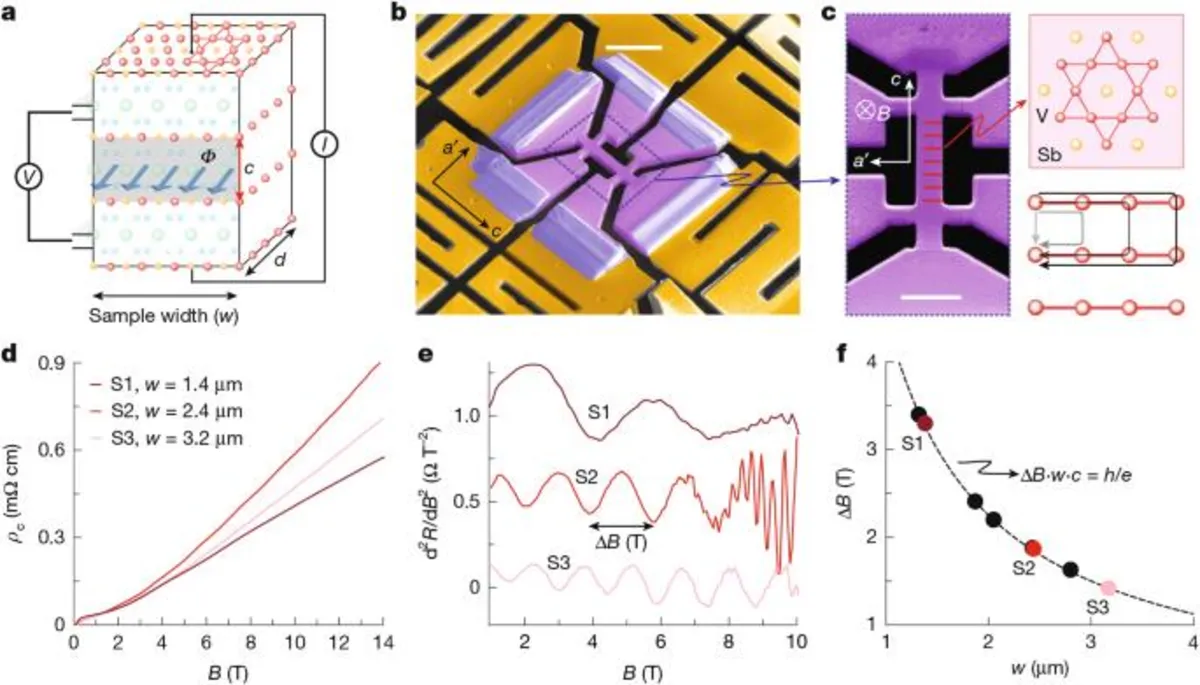 Unlocking Quantum Coherence: The Mysteries of Kagome Superconductors Revealed
