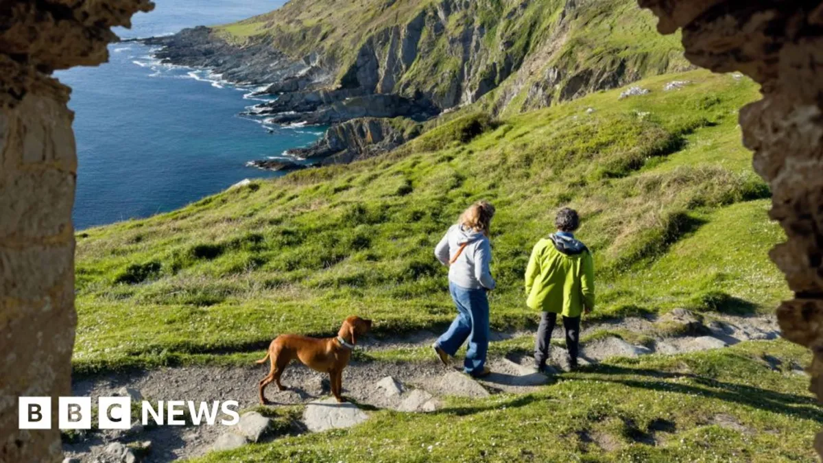 Unlocking the Secret: 7,000 Steps a Day to Boost Brainpower and Health