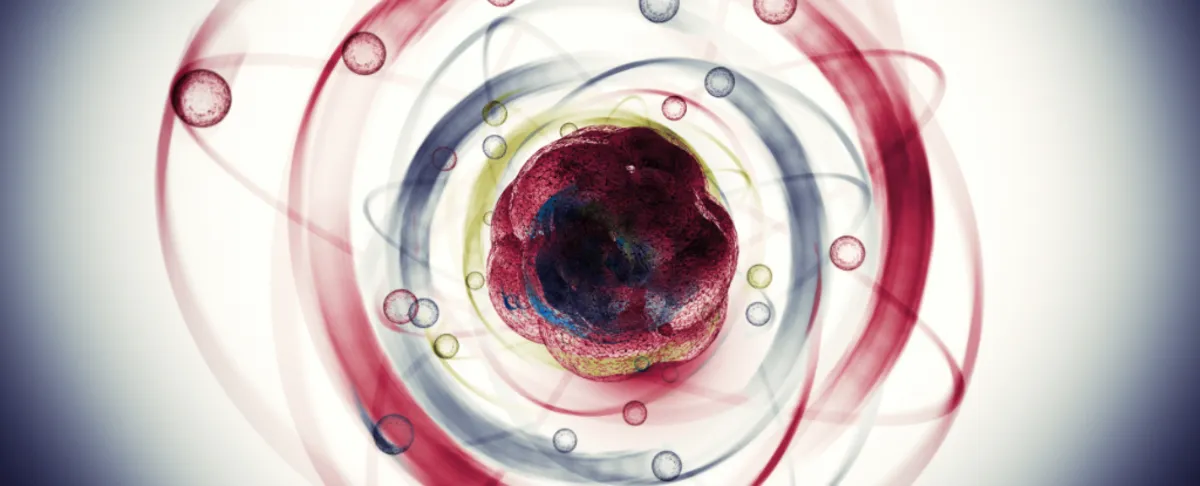 Unlocking the Secrets of a Potential Fifth Force in Physics