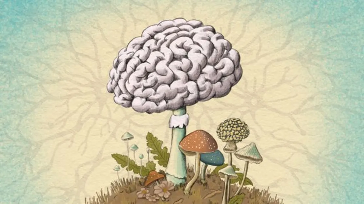 Unlocking the Secrets of Fungi: Could They Hold the Key to Brain Health?