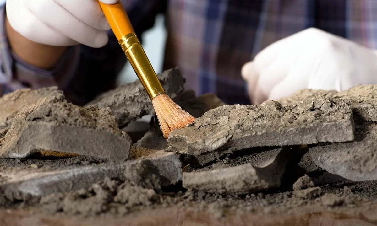 Unlocking the Secrets of Insect Evolution: The Remarkable Fossil Discovery