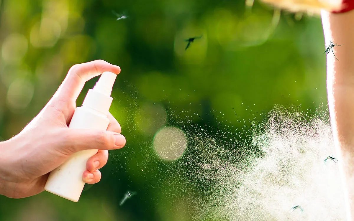 Unlocking the Secrets of Male Mosquito Hearing: A New Path to Smart Control