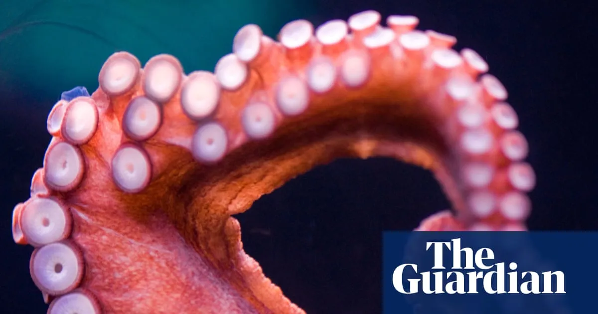 Unlocking the Secrets of Octopus Movement: How These Cephalopods Master Coordination