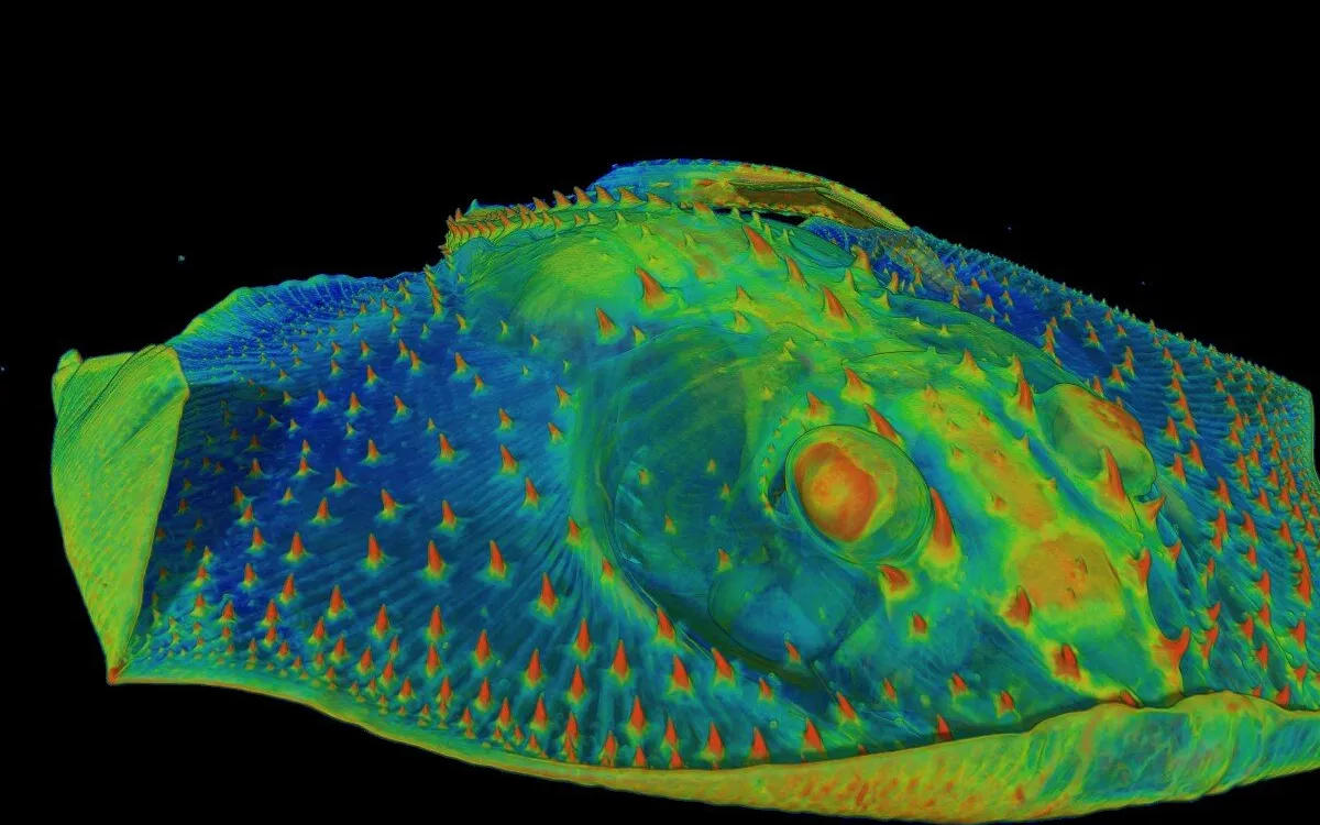 Unlocking the Secrets of Tooth Evolution: Ancient Origins Revealed