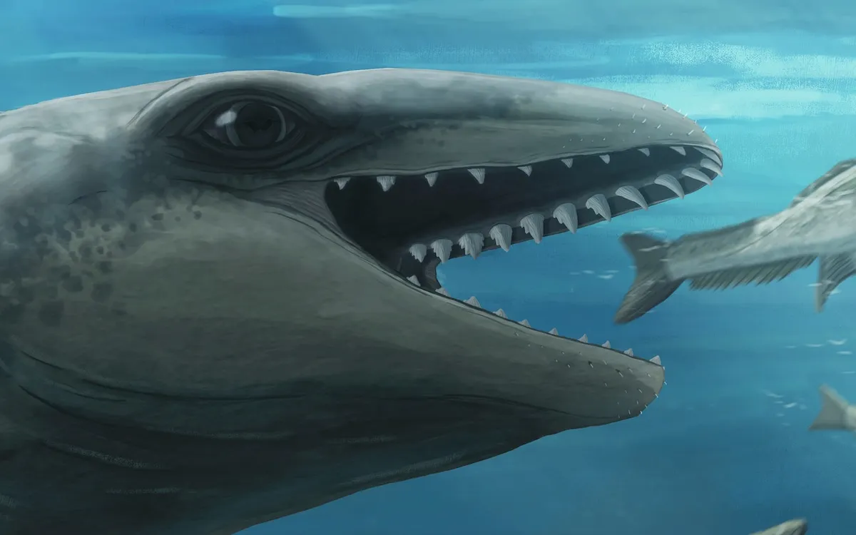 Unlocking Whale Evolution: Meet the Newly Discovered Janjucetus Dullardi
