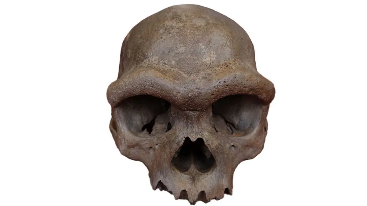Unveiling 'Dragon Man': The Ancient Human Relative That Changes Everything