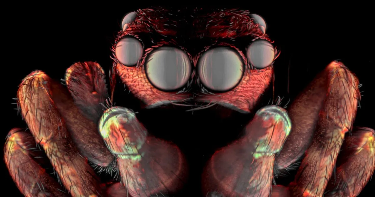 Unveiling Nature's Hidden Wonders: The Stunning Winners of Nikon’s Small World Competition