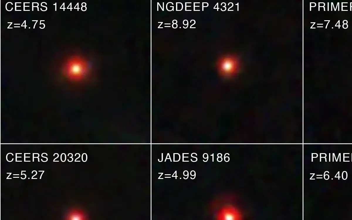 Unveiling the Mysteries of Little Red Dots: Early Galaxies and Supermassive Black Holes