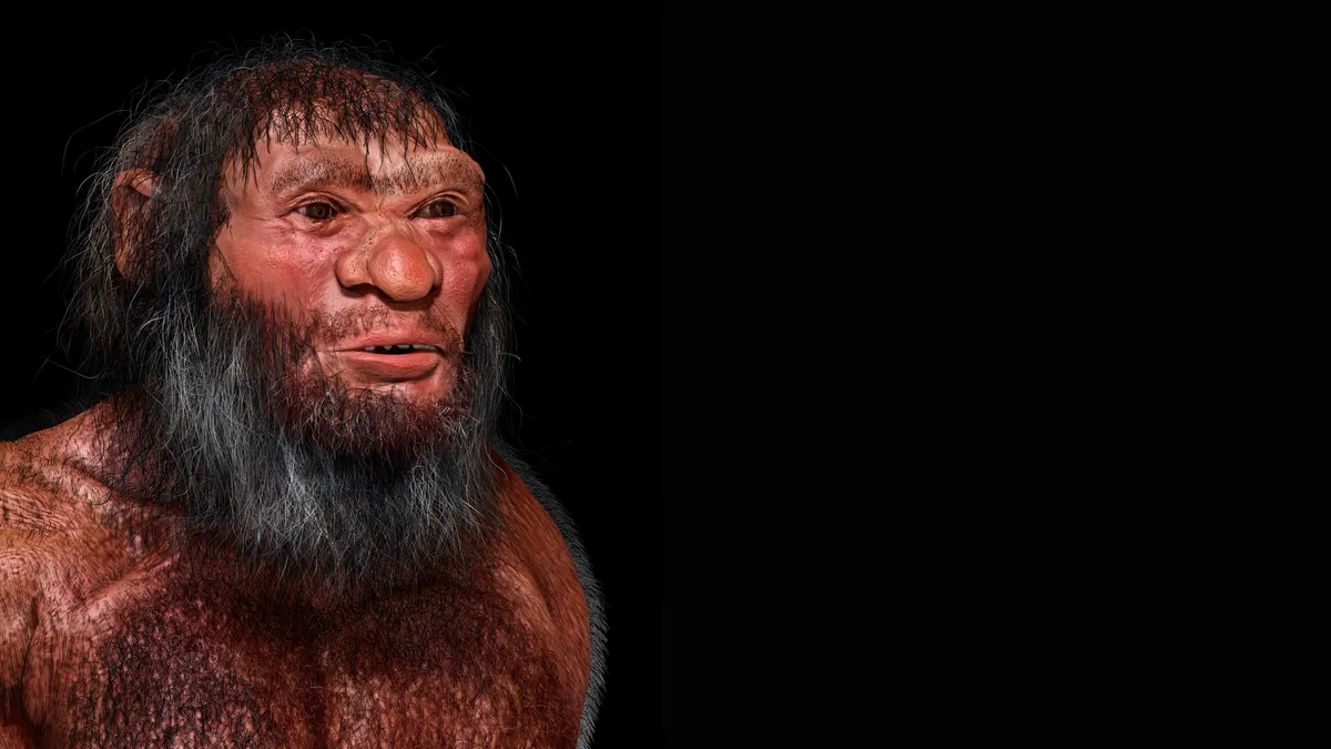 Unveiling the Mystery of 'Dragon Man': A Breakthrough in Human Evolution