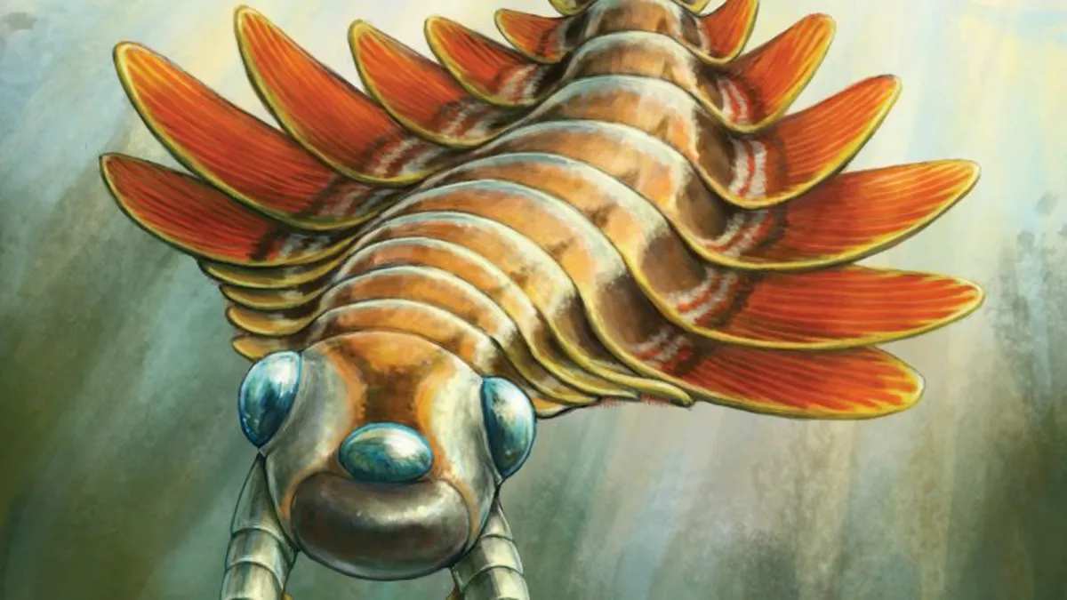 Unveiling the Sea Moth: A Three-Eyed Predator from 506 Million Years Ago
